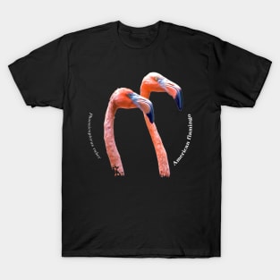 American flamingo tropical bird pin white text T-Shirt